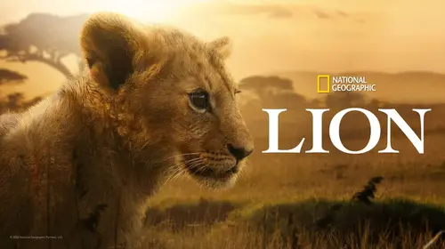 Lion English Animals & Nature Trailer Thumbnail