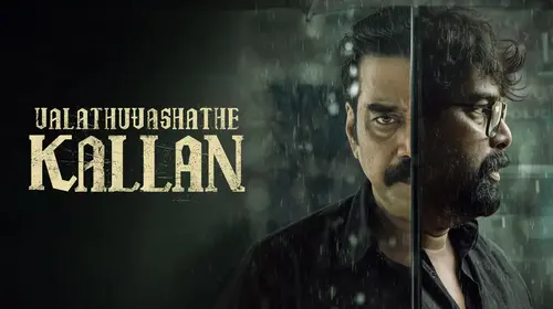 Valathu Vashathe Kallan Hindi Thriller Movie Thumbnail