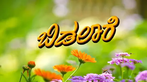 Bidalare Kannada Horror Movie Thumbnail