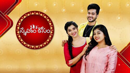 Sneham Kosam Telugu Family Drama Series Thumbnail