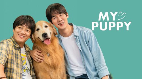 My Love Puppy Korean Comedy Trailer Thumbnail