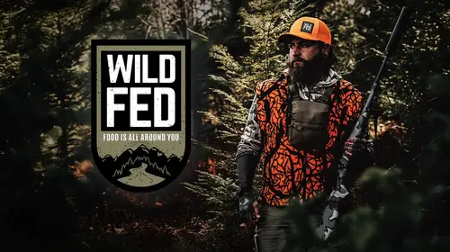 Wild Fed English Adventure Series Thumbnail