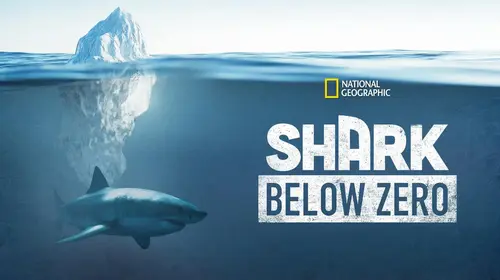 Shark Below Zero English Documentary Movie Thumbnail