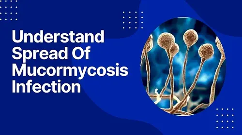 Understanding spread of Mucormycosis Infection Hindi Health Movie Thumbnail