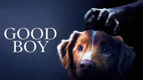 Good Boy English Horror Trailer Thumbnail