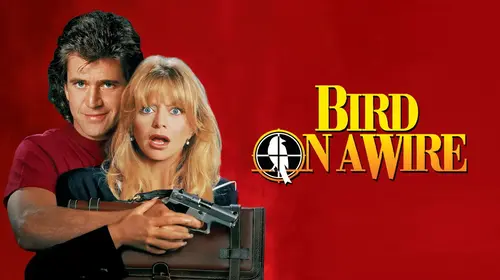 Bird on a Wire English Action Movie Thumbnail