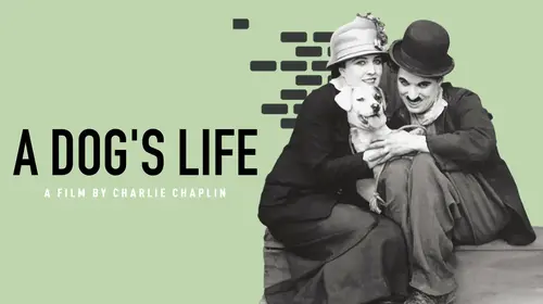 Charlie Chaplin - A Dog's Life English Comedy Movie Thumbnail
