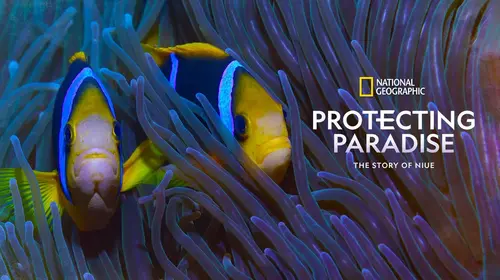 Protecting Paradise: The Story of Niue English Animals & Nature Trailer Thumbnail