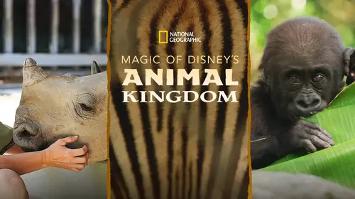 Magic of Disney's Animal Kingdom English Documentary Trailer Thumbnail
