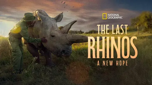 The Last Rhinos: A New Hope English Documentary Movie Thumbnail