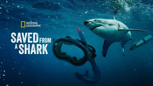 Saved from a Shark English Documentary Movie Thumbnail